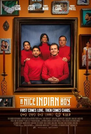A Nice Indian Boy 2025 Hindi Dual Audio HD Poster Download - Filmyzilla