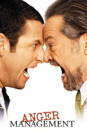 Anger Management (2003) Hindi Dual Audio – HD Poster Download - Filmyzilla