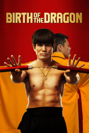 Birth of the Dragon (2016) Hindi Dual Audio [1.2GB] HD Poster Download - Filmyzilla