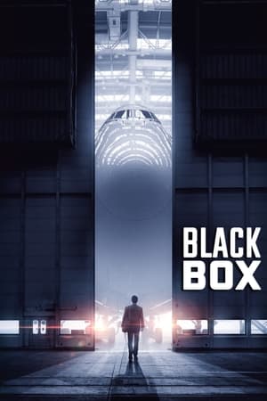 Boxed 2021 Hindi Movie [890MB] HD Poster Download - Filmyzilla