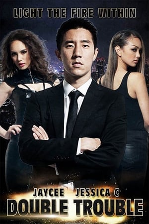 Double Trouble (2012) Hindi Dual Audio 400MB HD Poster Download - Filmyzilla