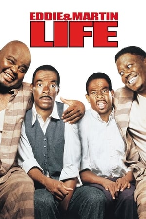 Life (1999) Hindi Dual Audio [1.3GB] HD Poster Download - Filmyzilla