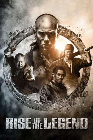 Rise of the Legend 2014 Hindi Dual Audio [1.1GB] HD Poster Download - Filmyzilla