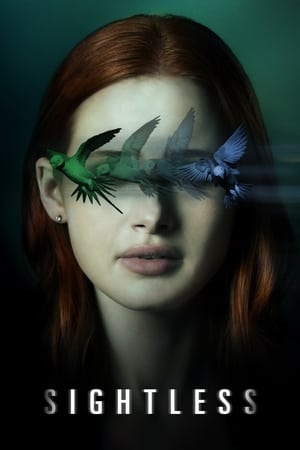 Sightless 2020 Hindi Dual Audio 300MB HD Poster Download - Filmyzilla