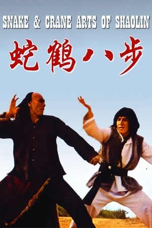 Snake and Crane Arts of Shaolin 1978 Hindi Dual Audio [980MB] HD Poster Download - Filmyzilla