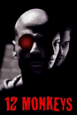 Twelve Monkeys (1995) Hindi Dual Audio 450MB HD Poster Download - Filmyzilla