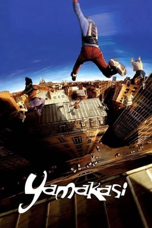 Yamakasi 2001 Hindi Dual Audio 300MB HD Poster Download - Filmyzilla